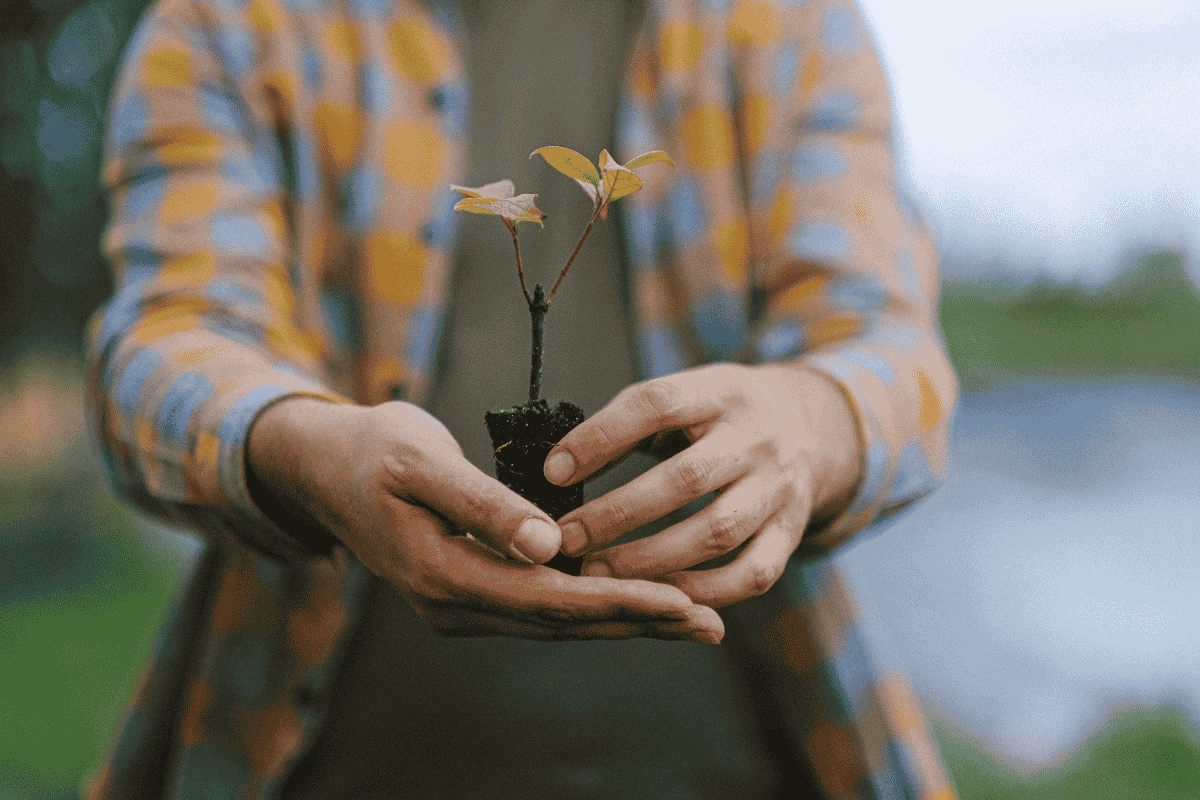 man holding a seedling plant